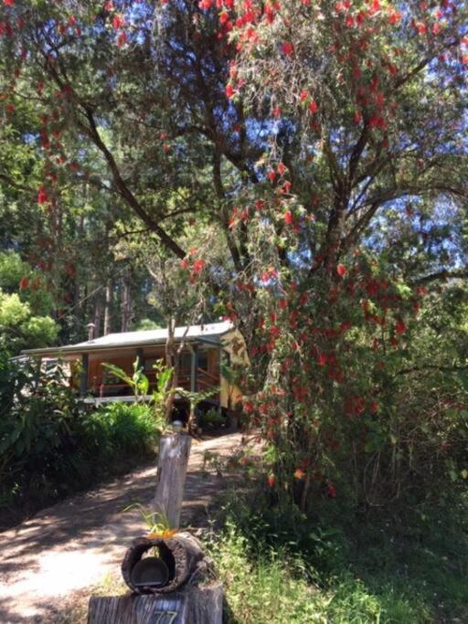 Sweetwater Cottage. A Private Mountain Escape Upper Burringbar Buitenkant foto